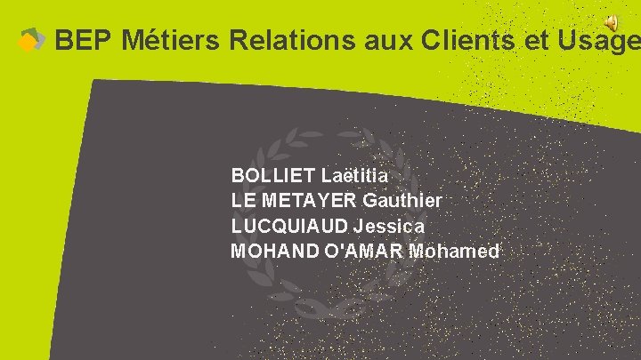 BEP Métiers Relations aux Clients et Usage BOLLIET Laëtitia LE METAYER Gauthier LUCQUIAUD Jessica