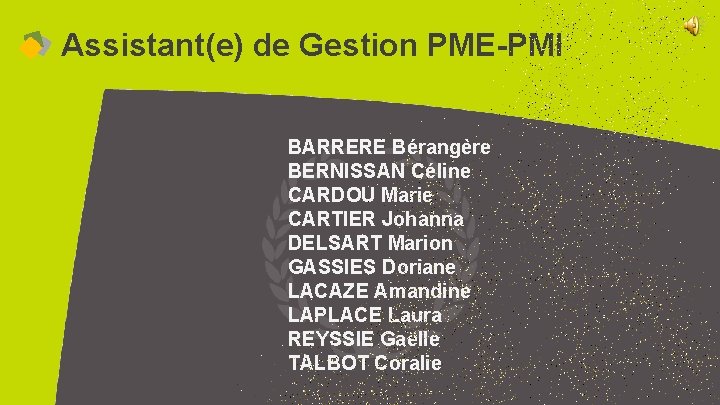 Assistant(e) de Gestion PME-PMI BARRERE Bérangère BERNISSAN Céline CARDOU Marie CARTIER Johanna DELSART Marion