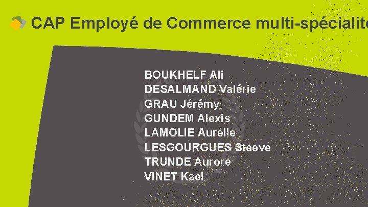 CAP Employé de Commerce multi-spécialité BOUKHELF Ali DESALMAND Valérie GRAU Jérémy GUNDEM Alexis LAMOLIE