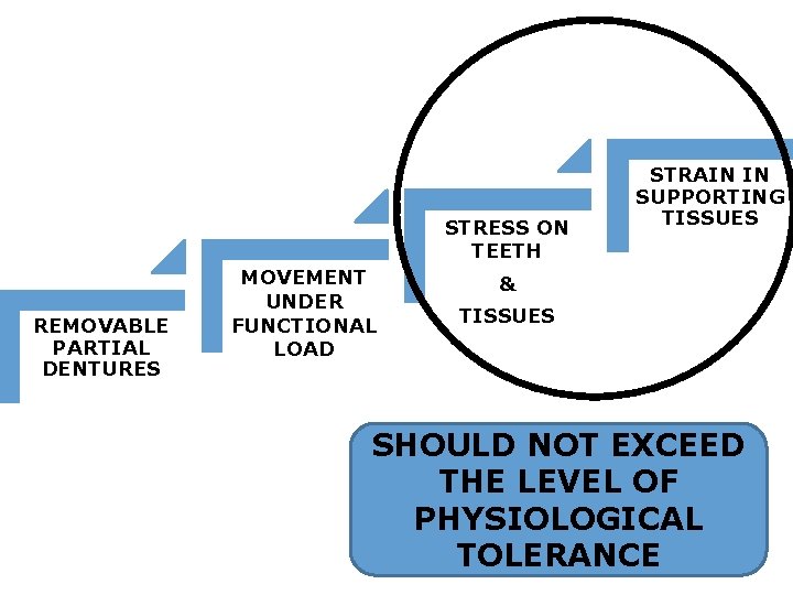 STRESS ON TEETH REMOVABLE PARTIAL DENTURES MOVEMENT UNDER FUNCTIONAL LOAD STRAIN IN SUPPORTING TISSUES