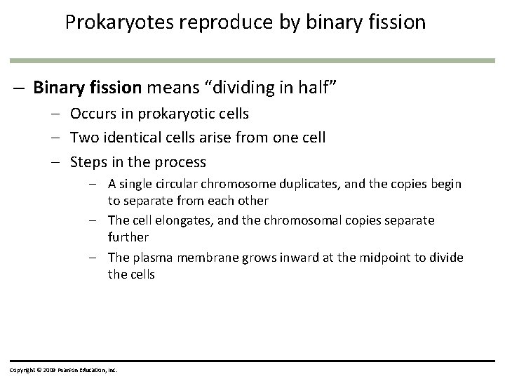 Prokaryotes reproduce by binary fission – Binary fission means “dividing in half” – Occurs