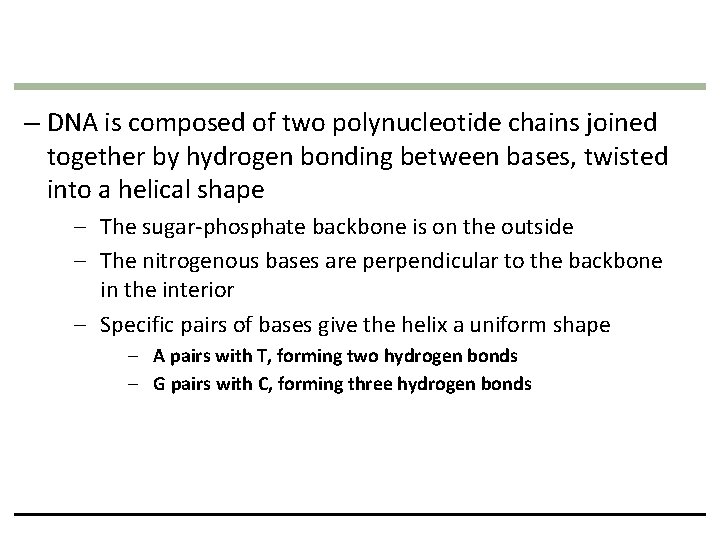 – DNA is composed of two polynucleotide chains joined together by hydrogen bonding between