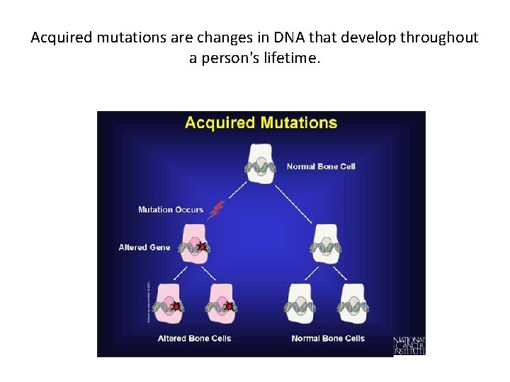 Acquired mutations are changes in DNA that develop throughout a person's lifetime. 