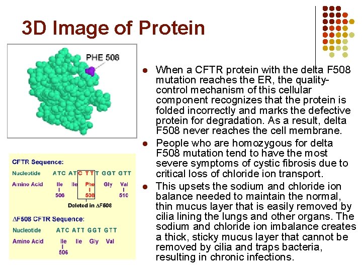 3 D Image of Protein l l l When a CFTR protein with the
