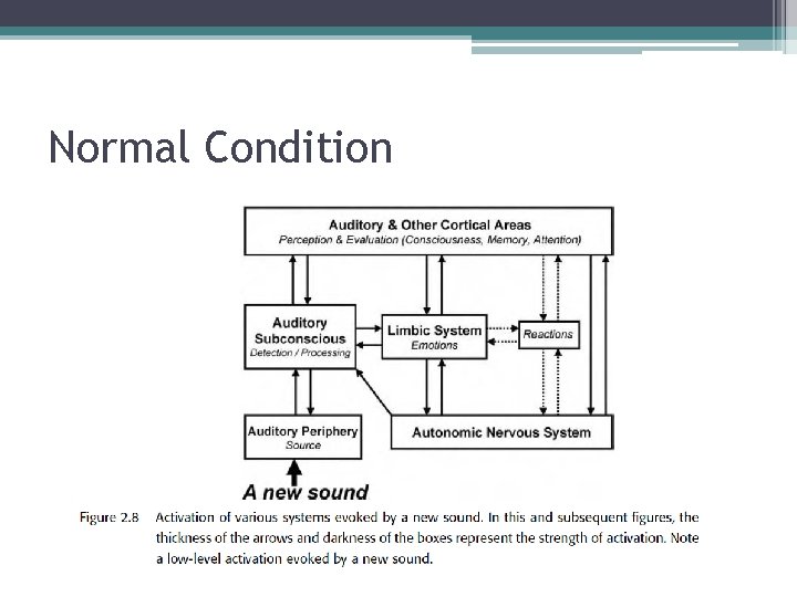 Normal Condition 