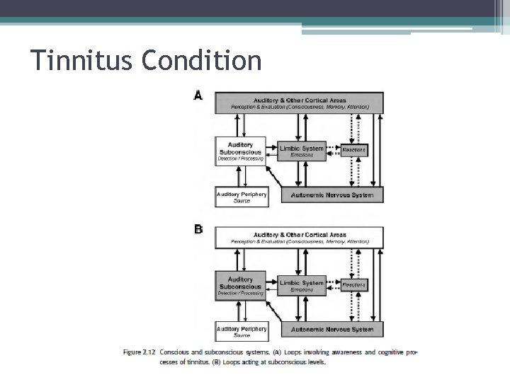 Tinnitus Condition 