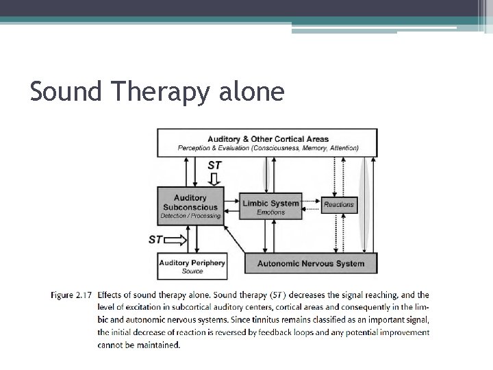 Sound Therapy alone 