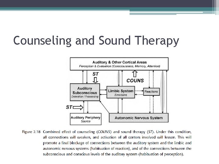 Counseling and Sound Therapy 