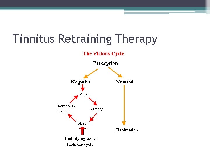 Tinnitus Retraining Therapy 