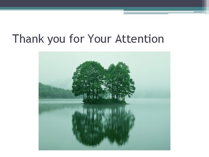 Thank you for Your Attention 