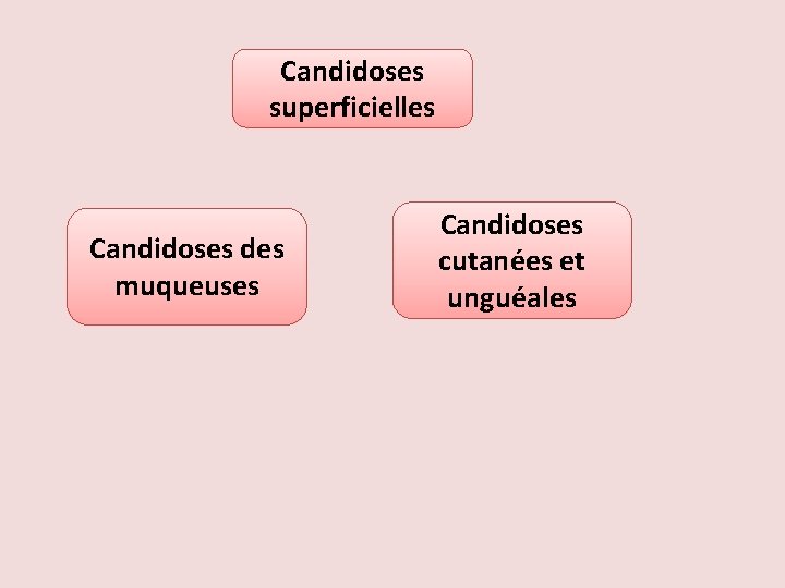 Candidoses superficielles Candidoses des muqueuses Candidoses cutanées et unguéales 