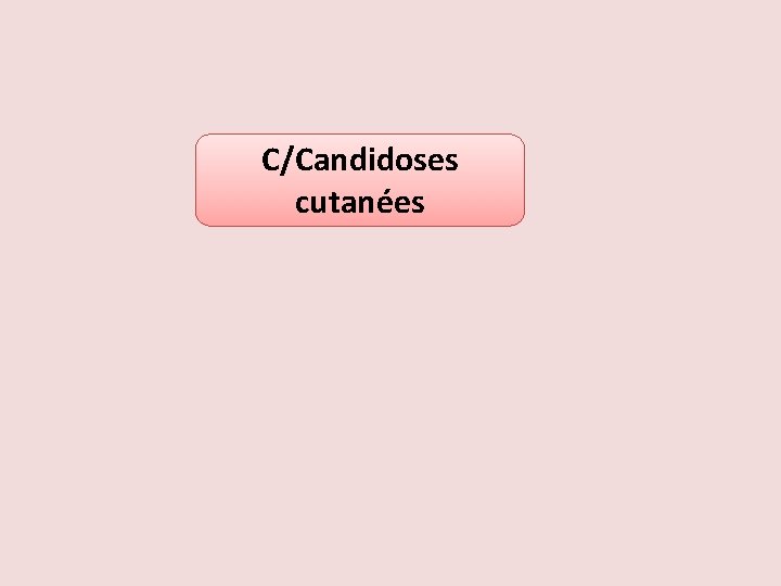 C/Candidoses cutanées 