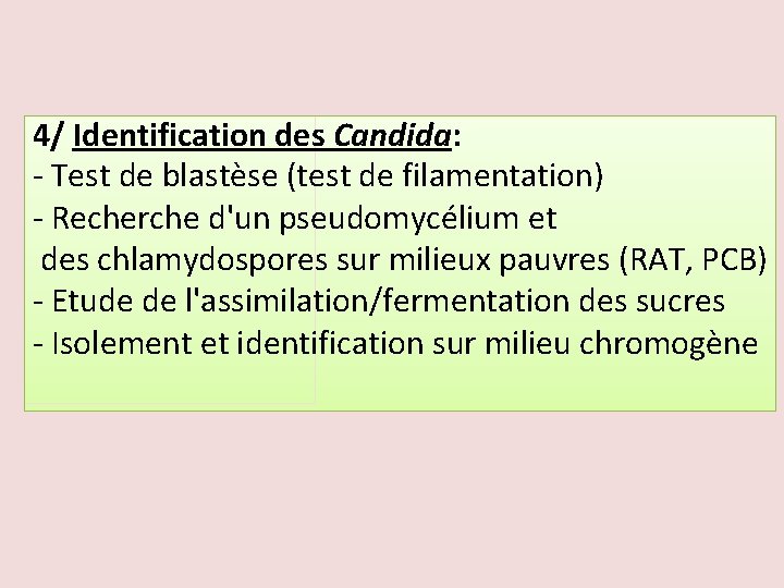 4/ Identification des Candida: - Test de blastèse (test de filamentation) - Recherche d'un