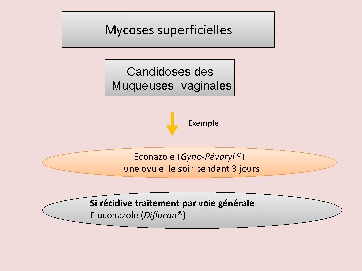 Mycoses superficielles Candidoses des Muqueuses vaginales Exemple Econazole (Gyno-Pévaryl ®) une ovule le soir