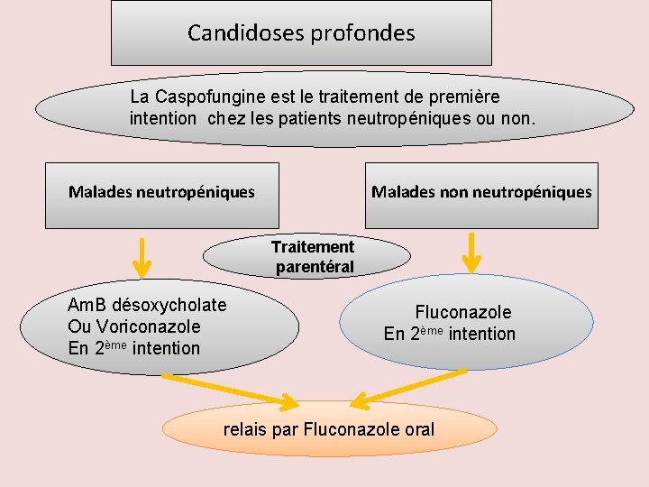 Candidoses profondes La Caspofungine est le traitement de première intention chez les patients neutropéniques