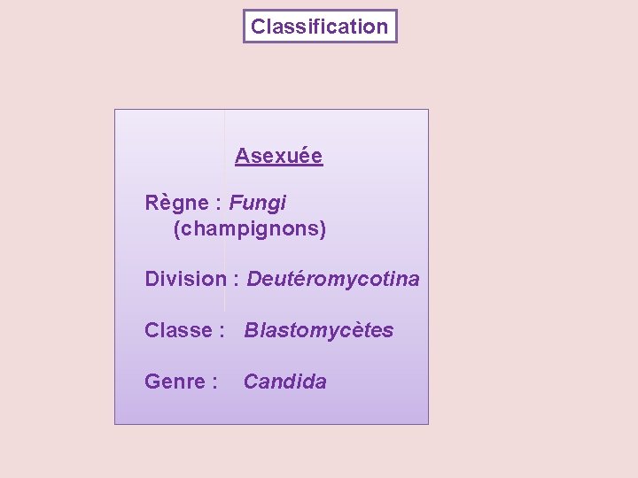Classification Asexuée Règne : Fungi (champignons) Division : Deutéromycotina Classe : Blastomycètes Genre :