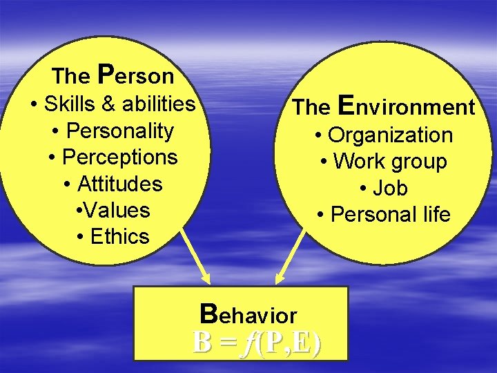 The Person • Skills & abilities • Personality • Perceptions • Attitudes • Values