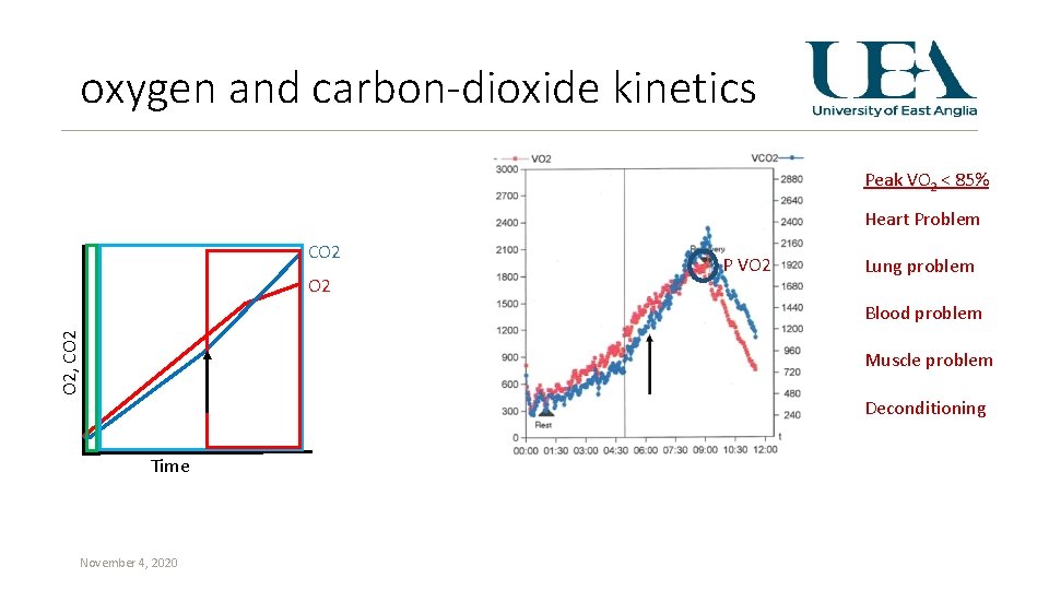 oxygen and carbon-dioxide kinetics Peak VO 2 < 85% Heart Problem CO 2 P