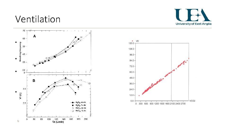 Ventilation • Ventilation is a product of tidal volume and respiratory frequency • VE