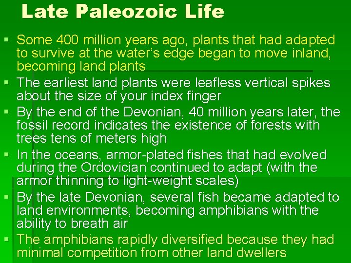 Late Paleozoic Life § Some 400 million years ago, plants that had adapted to