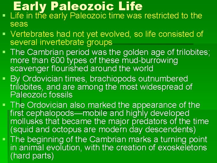 Early Paleozoic Life § Life in the early Paleozoic time was restricted to the