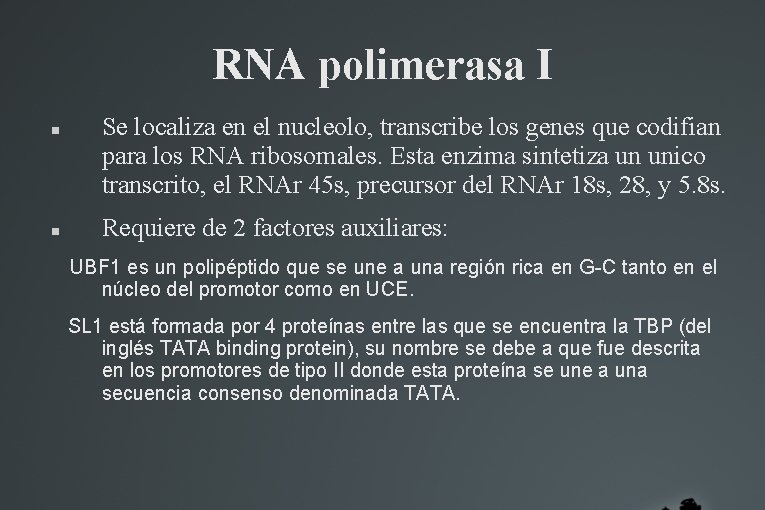 RNA polimerasa I Se localiza en el nucleolo, transcribe los genes que codifian para