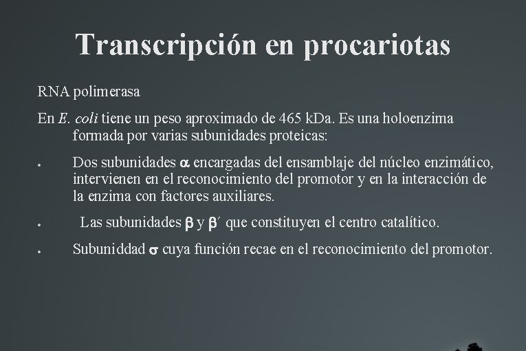 Transcripción en procariotas RNA polimerasa En E. coli tiene un peso aproximado de 465