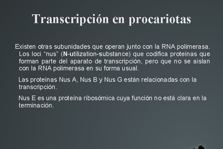 Transcripción en procariotas Existen otras subunidades que operan junto con la RNA polimerasa. Los