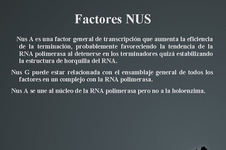 Factores NUS Nus A es una factor general de transcripción que aumenta la eficiencia