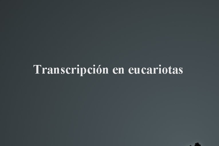 Transcripción en eucariotas 