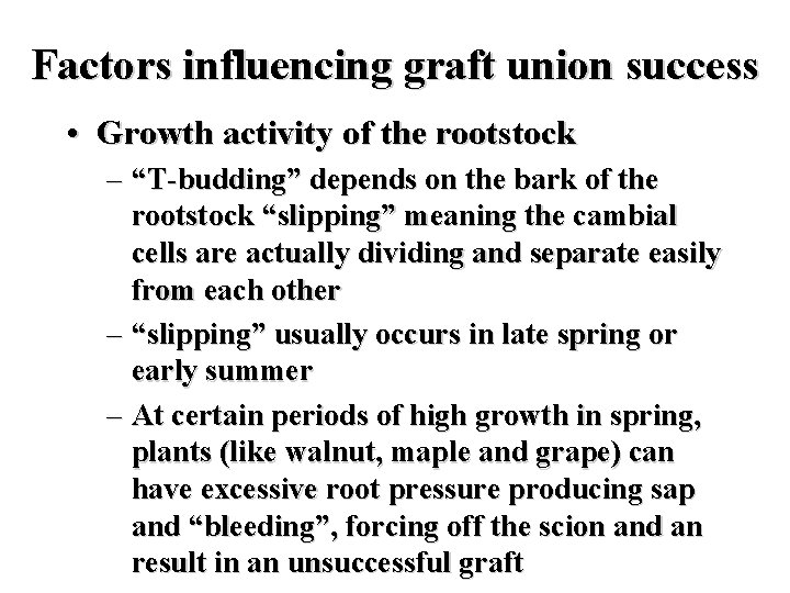 Factors influencing graft union success • Growth activity of the rootstock – “T-budding” depends