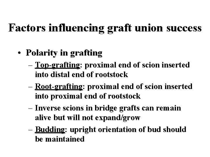 Factors influencing graft union success • Polarity in grafting – Top-grafting: proximal end of