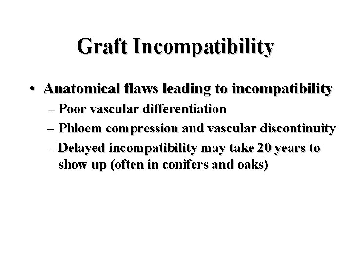 Graft Incompatibility • Anatomical flaws leading to incompatibility – Poor vascular differentiation – Phloem