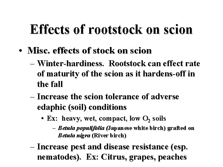 Effects of rootstock on scion • Misc. effects of stock on scion – Winter-hardiness.