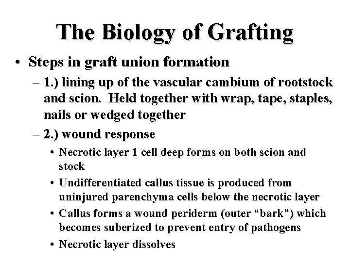 The Biology of Grafting • Steps in graft union formation – 1. ) lining