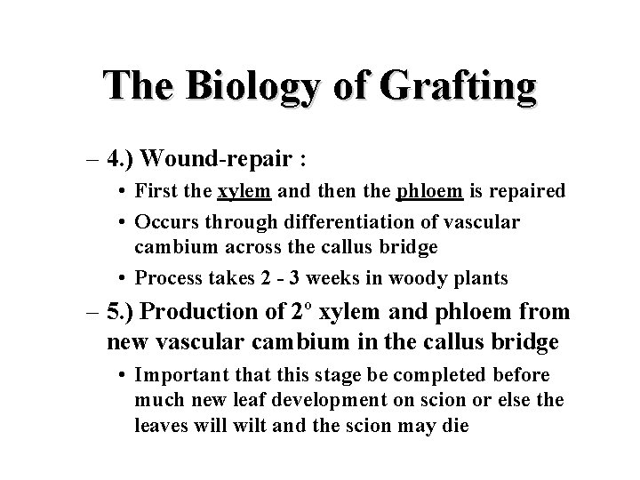 The Biology of Grafting – 4. ) Wound-repair : • First the xylem and