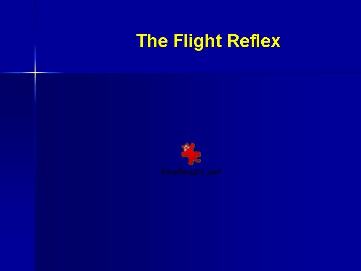  The Flight Reflex 