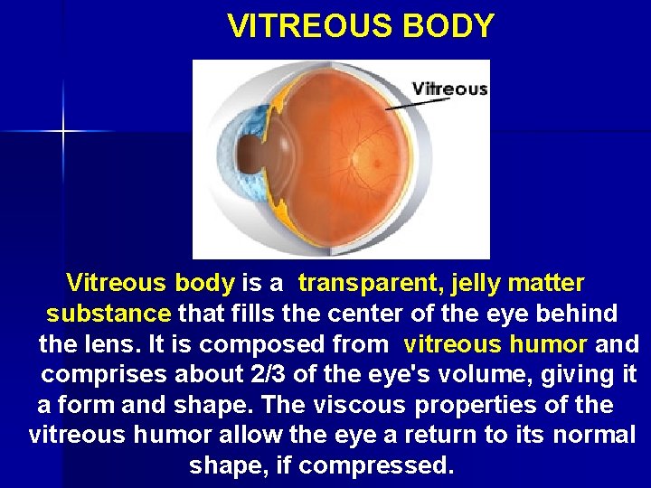  VITREOUS BODY Vitreous body is a transparent, jelly matter substance that fills the