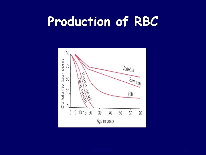 Production of RBC Dr Sitelbanat 18 