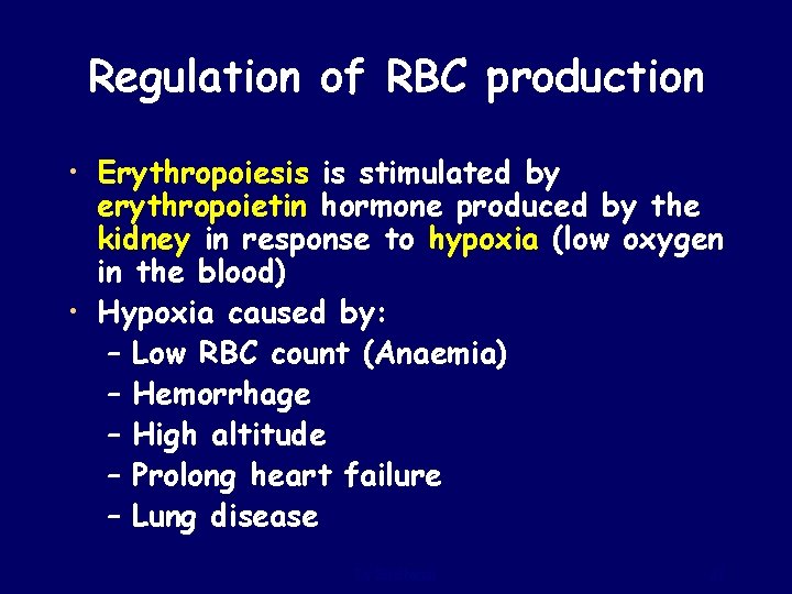 Regulation of RBC production • Erythropoiesis is stimulated by erythropoietin hormone produced by the