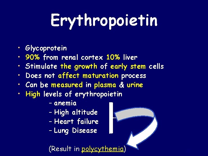 Erythropoietin • • • Glycoprotein 90% from renal cortex 10% liver Stimulate the growth