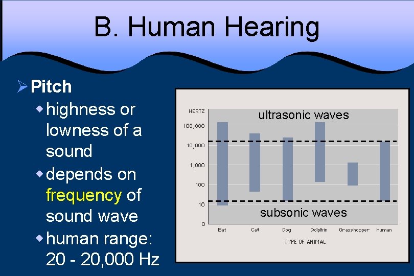 B. Human Hearing ØPitch w highness or lowness of a sound w depends on