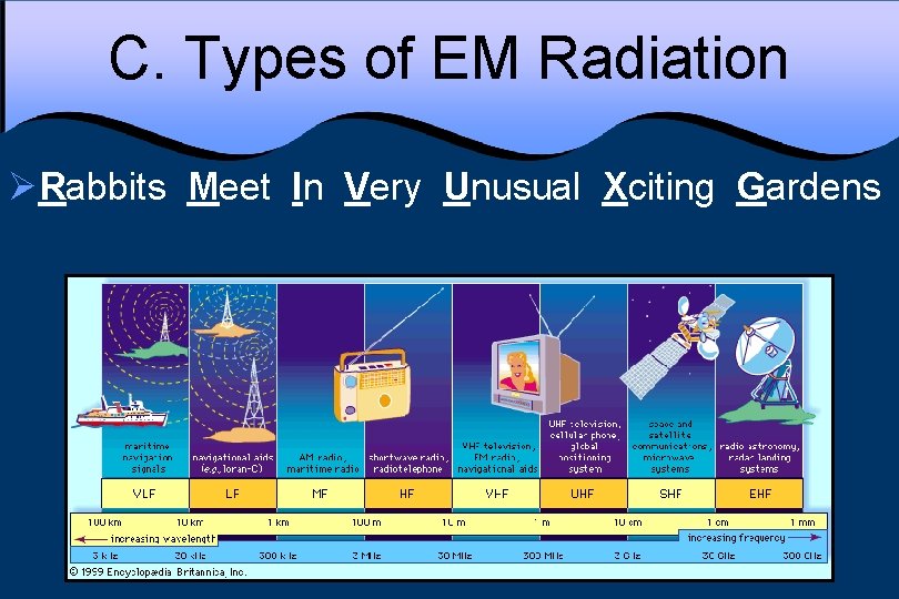 C. Types of EM Radiation ØRabbits Meet In Very Unusual Xciting Gardens 