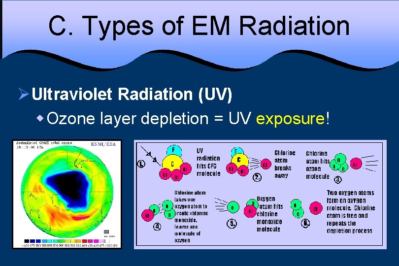 C. Types of EM Radiation ØUltraviolet Radiation (UV) w Ozone layer depletion = UV