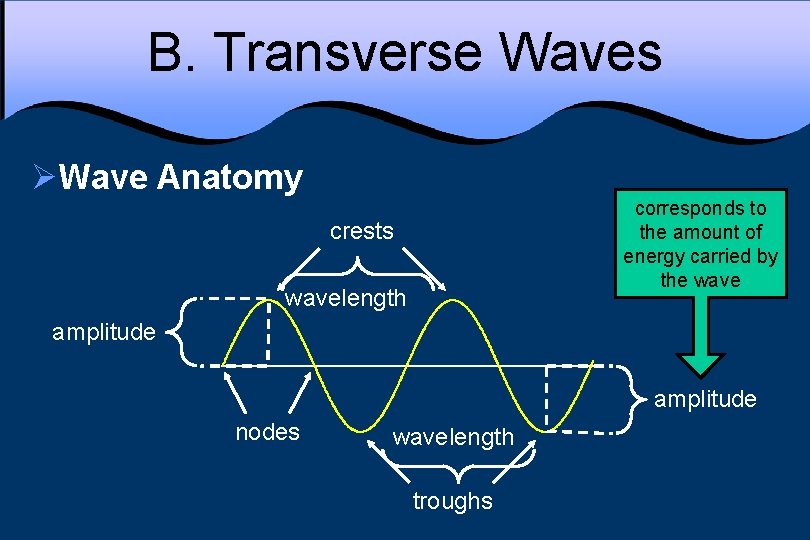 B. Transverse Waves ØWave Anatomy corresponds to the amount of energy carried by the