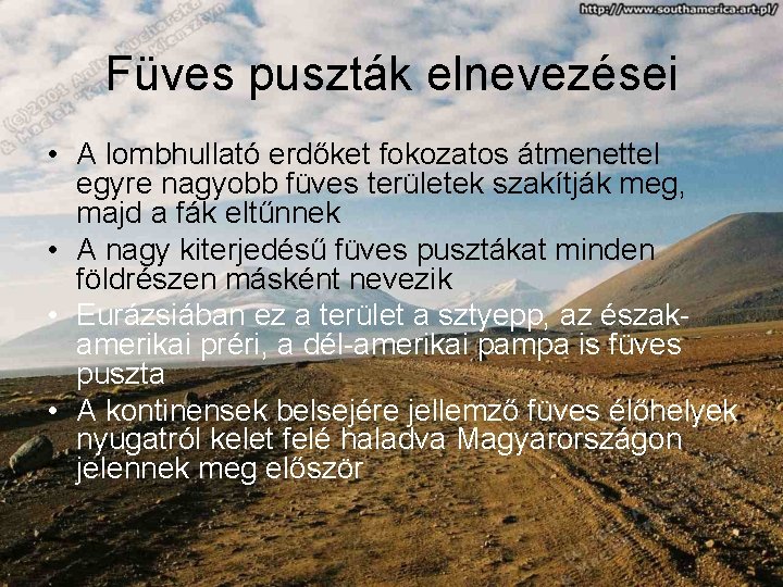 Füves puszták elnevezései • A lombhullató erdőket fokozatos átmenettel egyre nagyobb füves területek szakítják
