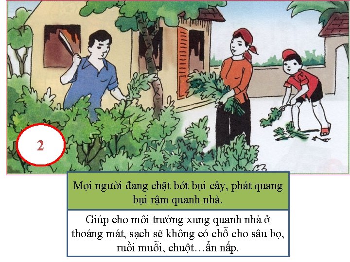 2 Mọi người đang chặt bớt bụi cây, phát quang bụitrong rậm quanh nhà.