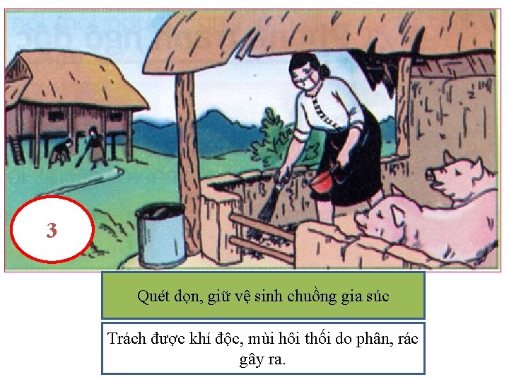 3 Quét dọn, giữ vệ sinh gia gì? súc Mọi người trong tranhchuồng đang