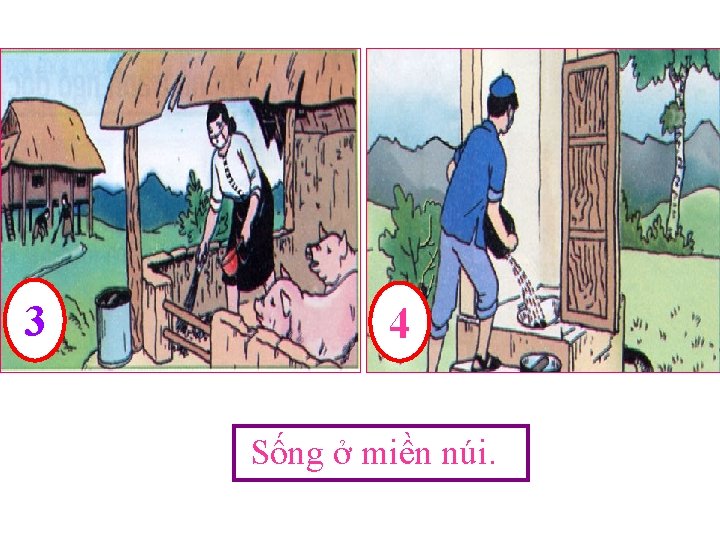 3 4 Sống ở miền núi. 