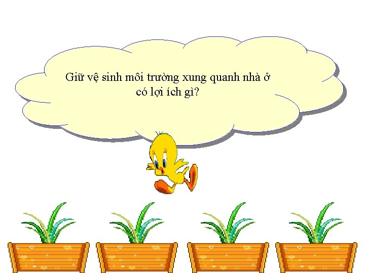 Giữ vệ sinh môi trường xung quanh nhà ở có lợi ích gì? 